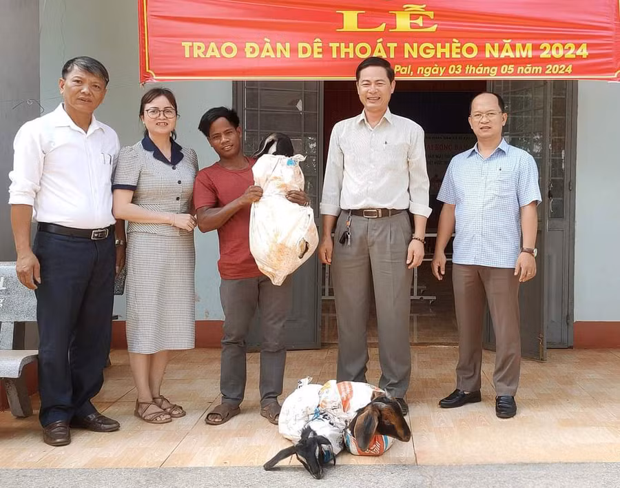 Tặng “Đàn dê thoát nghèo” cho hội viên nông dân Siu Ven tại làng Ia Pết, xã Ia Pal. Ảnh: K.P