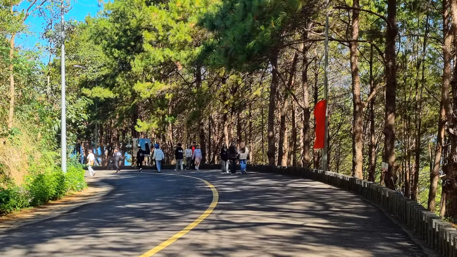 Một đoạn đường nên thơ dịu mát trong khuôn viên Biển Hồ Pleiku.