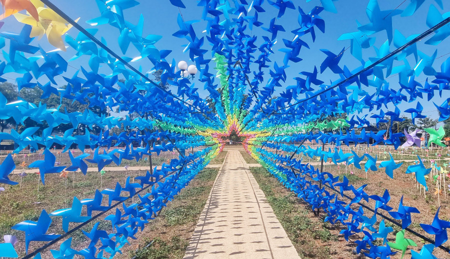 Chong chóng gió tạo nên một khung cảnh lãng mạn đầy màu sắc.