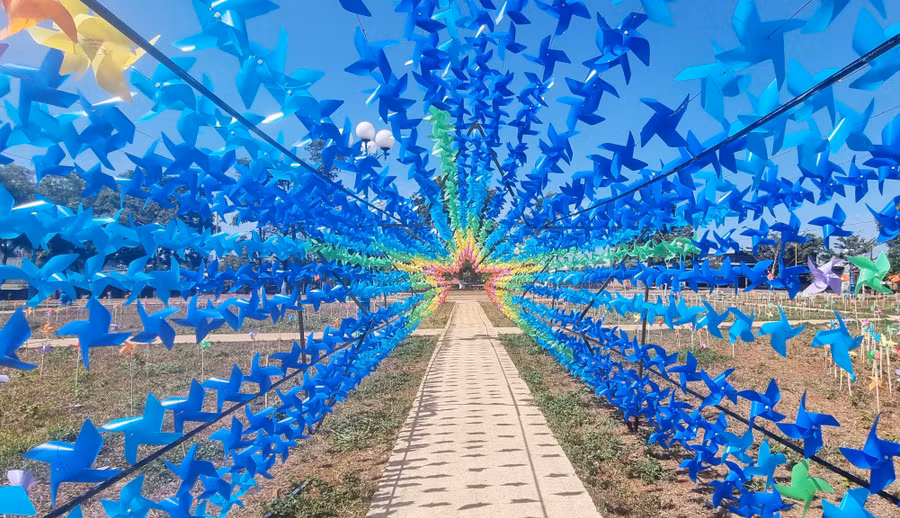 Chong chóng gió tạo nên một khung cảnh lãng mạn đầy màu sắc.