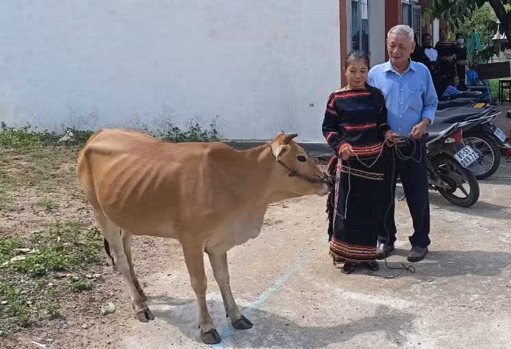 Hội Bảo trợ Người khuyết tật và bảo vệ quyền trẻ em tỉnh trao mô hình sinh kế nuôi bò sinh sản cho Câu lạc bộ. Ảnh: Kiều Lương
