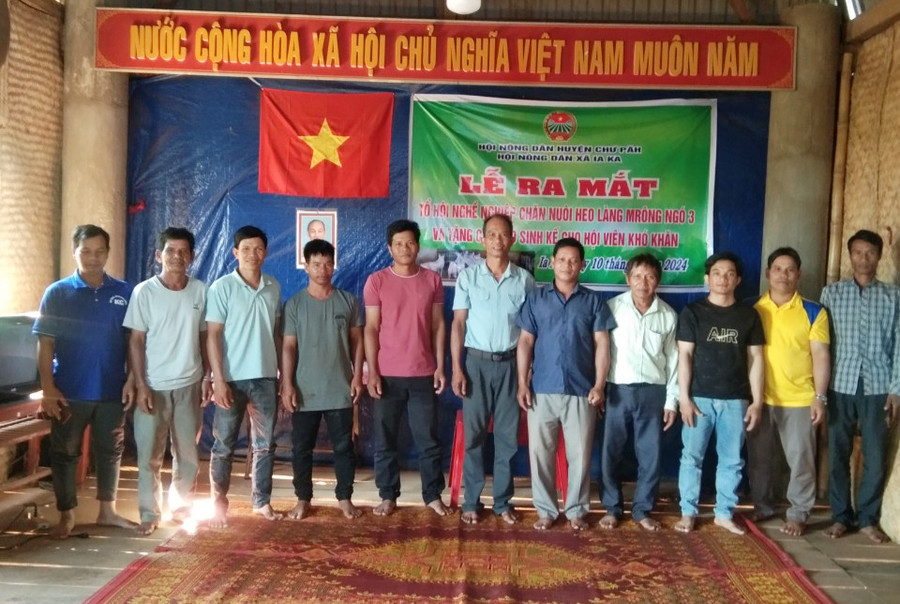 Các thành viên Chi hội nghề nghiệp chăn nuôi heo tại làng Ngó 3 tại lễ ra mắt. Ảnh: K.S