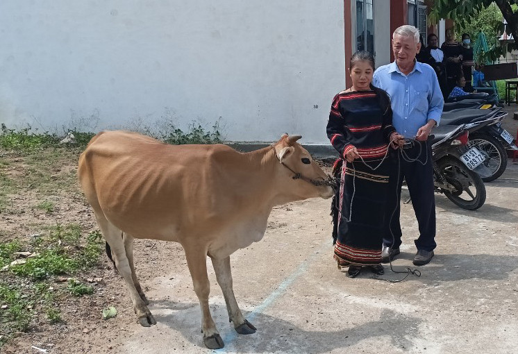 Hội Bảo trợ Người khuyết tật và bảo vệ quyền trẻ em tỉnh Gia Lai trao mô hình sinh kế nuôi bò sinh sản cho Câu lạc bộ “Phụ nữ khuyết tật tự lực vươn lên trong cuộc sống” thị xã Ayun Pa. Ảnh: H.P