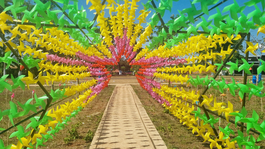 Con đường vào vườn chong chóng tiểu cảnh trang trí hình ngôi sao nhằm thu hút du khách nhân dịp Tết Nguyên đán Giáp Thìn 2024.