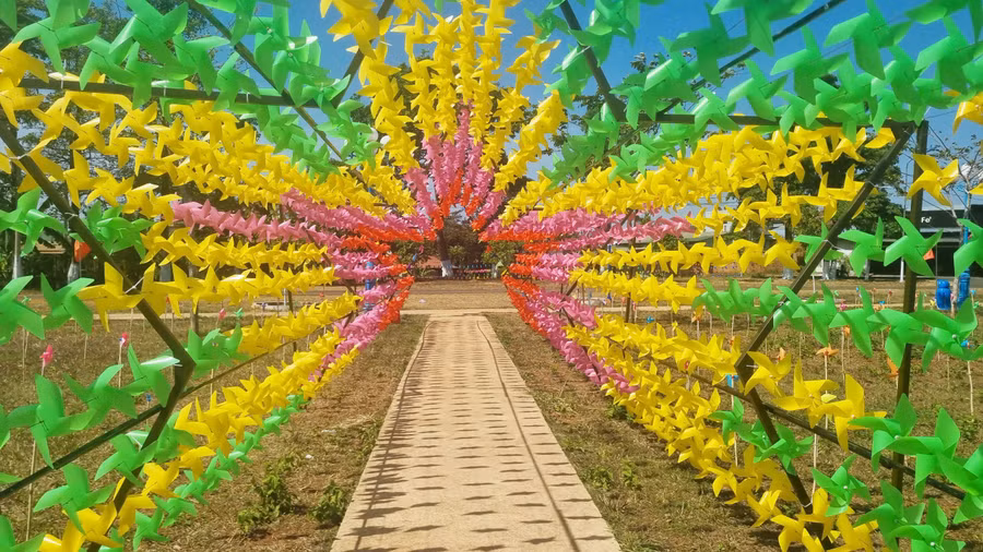 Con đường vào vườn chong chóng tiểu cảnh trang trí hình ngôi sao nhằm thu hút du khách nhân dịp Tết Nguyên đán Giáp Thìn 2024.