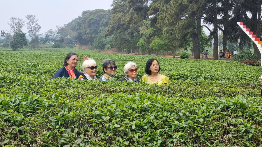 Du khách chụp hình kỷ niệm tại khu vực Biển Hồ chè.