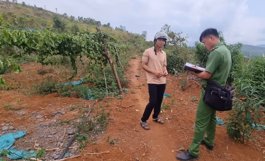 Lực lượng Công an địa phương đang điều tra xác minh vụ việc. Ảnh: Hà Phương