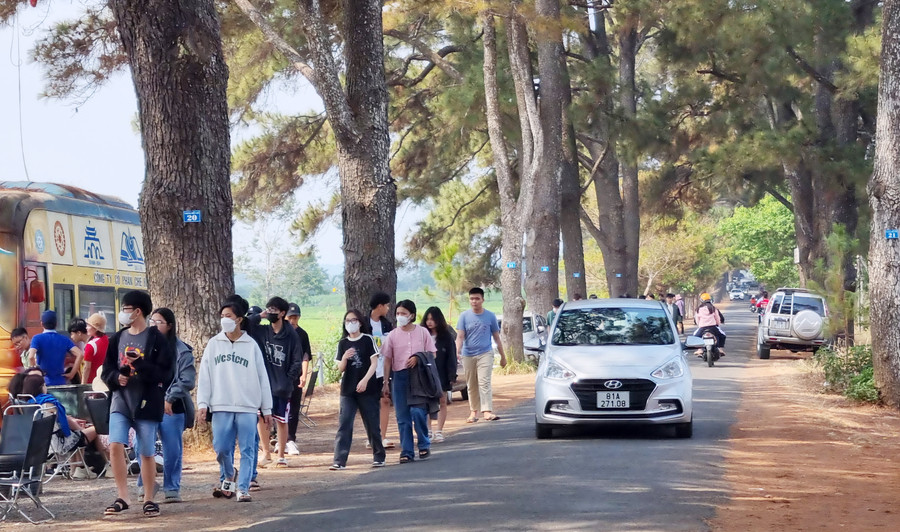 Nằm cách TP. Pleiku khoảng 12 km, biển hồ Chè, hàng thông trăm tuổi, chùa Bửu Minh (thôn 1, xã Nghĩa Hưng, huyện Chư Păh) mang một màu xanh ngát, mùi lá chè thơm thoang thoảng, phảng phất, cảnh quan nơi đây mang vẻ đẹp hiền hòa đã để lại nhiều ấn tượng trong lòng du khách.