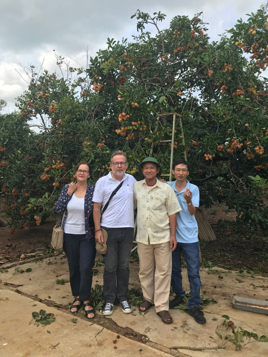 Du khách tham quan vườn chôm chôm tại xã Ia Tô, huyện Ia Grai. Ảnh: Hà Phương Du khách tham quan vườn chôm chôm tại xã Ia Tô, huyện Ia Grai. Ảnh: Hà Phương