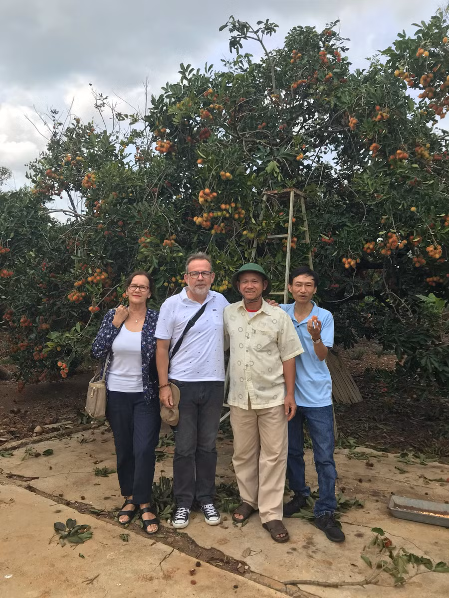 Du khách tham quan vườn chôm chôm tại xã Ia Tô, huyện Ia Grai. Ảnh: Hà Phương