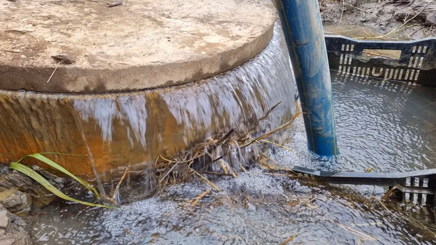 Nhiều người dân tận dụng nguồn nước này để bơm lên tưới cho rau màu. Ảnh: Hà Phương