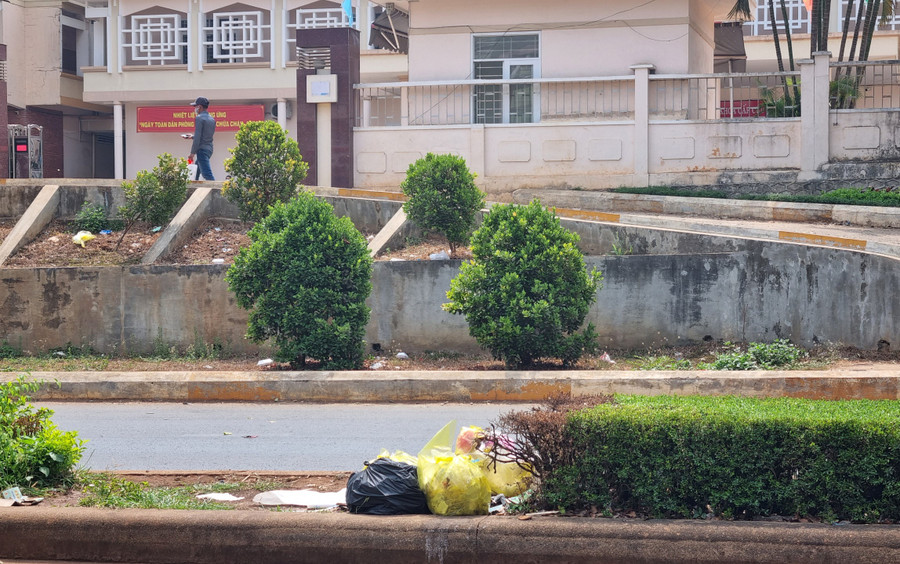 Rác được tập kết ngay giữa dải phân cách trước bệnh viện.