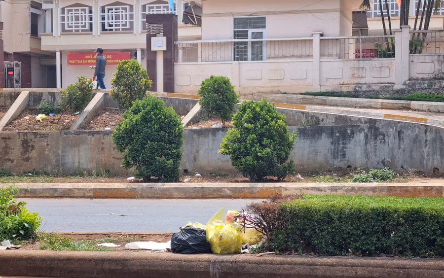 Rác được tập kết ngay giữa dải phân cách trước bệnh viện.
