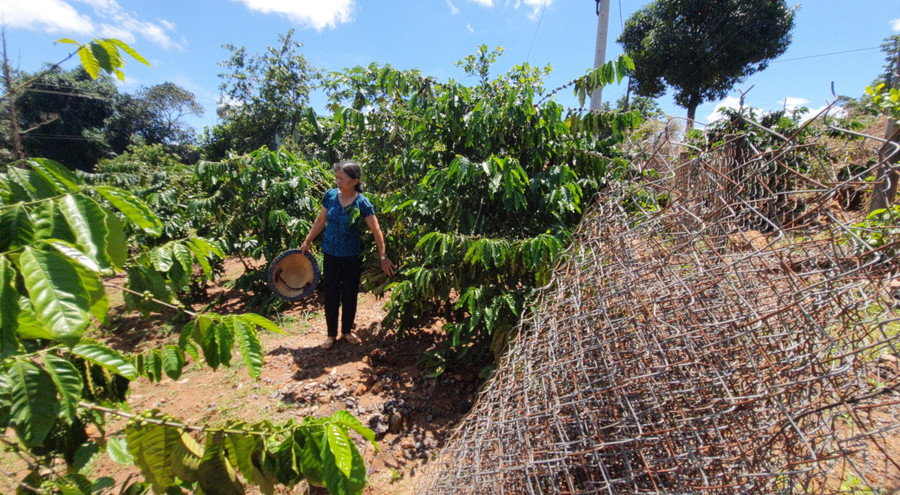 Mỗi khi mưa to là bùn đất từ quốc lộ 19 tràn vào vườn hoa màu của bà Phạm Thị Cà (thôn Thanh Bình, xã Bình Giáo). Ảnh: Hà Phương Mỗi khi mưa to là bùn đất từ quốc lộ 19 tràn vào vườn hoa màu của bà Phạm Thị Cà (thôn Thanh Bình, xã Bình Giáo). Ảnh: Hà Phương