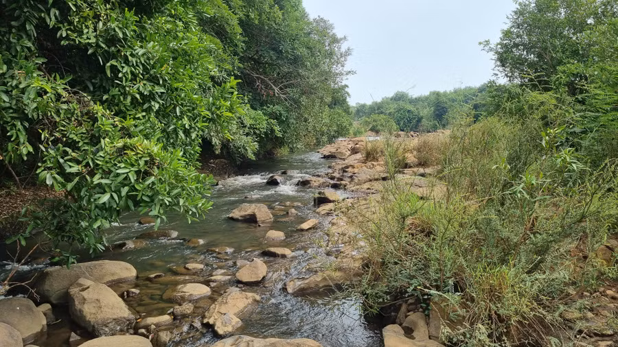 Chiêm ngưỡng từ xa, suối Jrăng Blo hiện ra như dải lụa mềm vắt ngang khe đá, ẩn dưới những tán cây cổ thụ rủ bóng mát đôi bờ. Ảnh: K.P