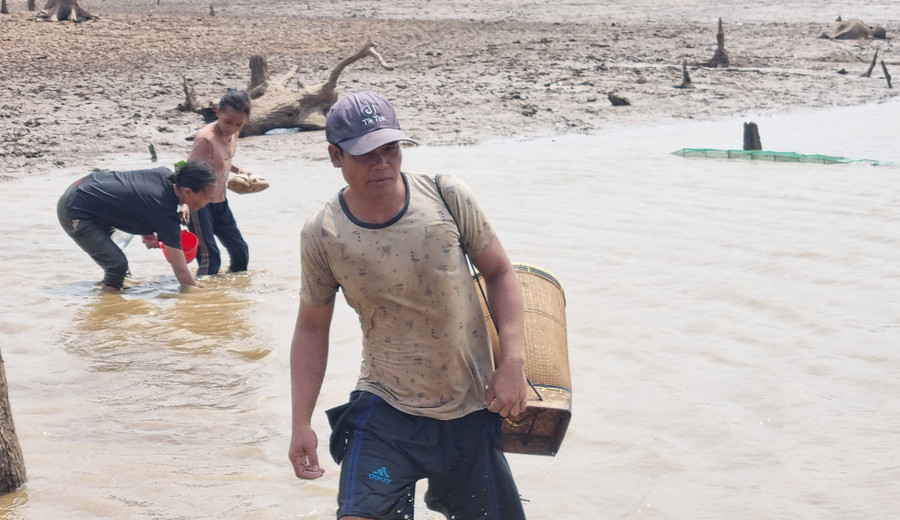 Còn với anh Ksor Thon (làng Amil) thì cho hay: “Trung bình một ngày vợ chồng tôi bắt được khoảng 20-30 kg hến. Sau khi bắt xong thương lái đến nhà để mua, mỗi ký hến bán được 8.000 đồng”.