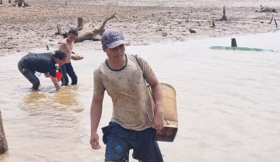 Còn với anh Ksor Thon (làng Amil) thì cho hay: “Trung bình một ngày vợ chồng tôi bắt được khoảng 20-30 kg hến. Sau khi bắt xong thương lái đến nhà để mua, mỗi ký hến bán được 8.000 đồng”.