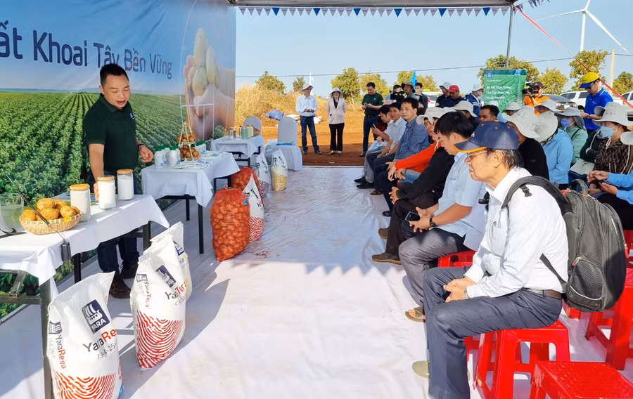 Quang cảnh ngày hội. Ảnh: Hà Phương