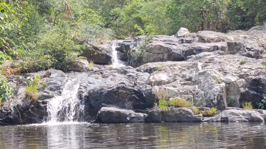 Nhìn ra xa, dòng nước trong veo len lõi trong những tảng đá lớn nhỏ từ phía trên chảy xuống giữa núi rừng xanh ngát.