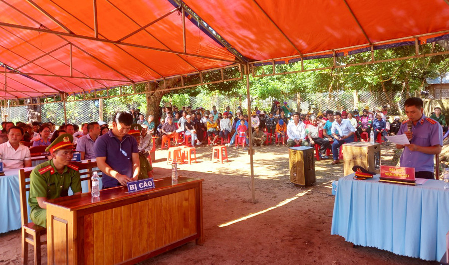 Quang cảnh phiên tòa giả định. Ảnh: H.P