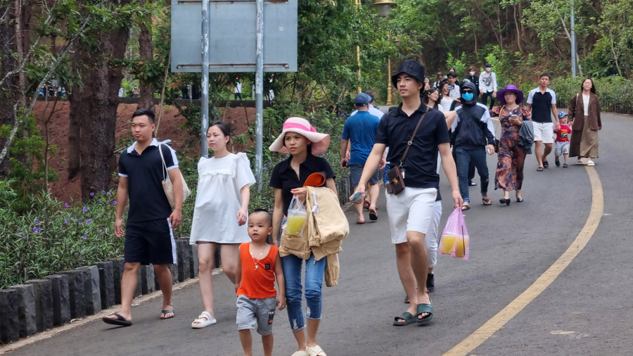 Dịp lễ có rất nhiều đoàn từ các tỉnh, thành đổ về khu vực Hàng thông trăm tuổi, Biển Hồ chè.