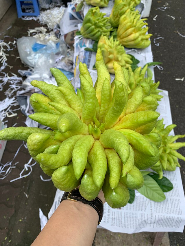 Quả phật thủ đẹp phải có trọng lượng lớn, nhiều búp tay và đều nhau Quả phật thủ đẹp phải có trọng lượng lớn, nhiều búp tay và đều nhau