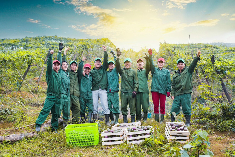 Kỹ thuật viên vùng trồng chính là cánh tay nối dài của Nafoods để đến gần hơn với nhà nông. Ảnh: H.T