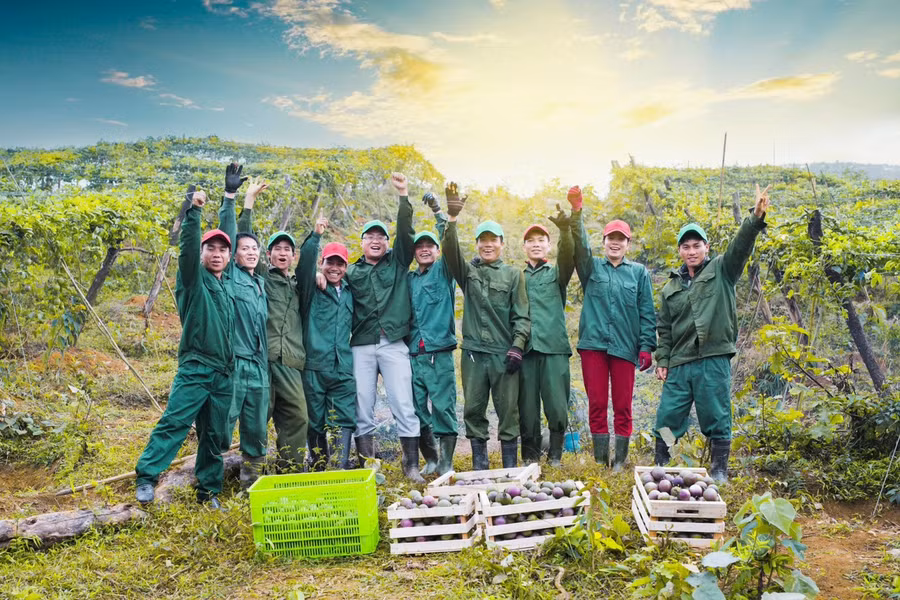 Kỹ thuật viên vùng trồng chính là cánh tay nối dài của Nafoods để đến gần hơn với nhà nông. Ảnh: H.T