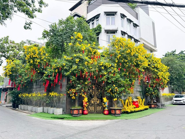 Đàm Vĩnh Hưng trang hoàng biệt thự Đàm Vĩnh Hưng trang hoàng biệt thự