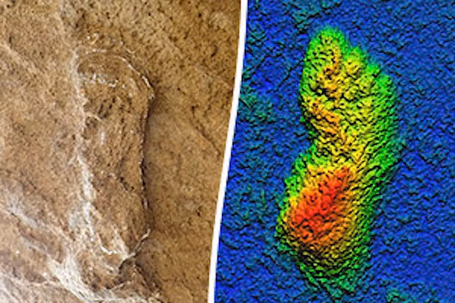 Nguồn: Nelson Mandela University / University of Leicester