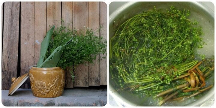 Tắm nước lá mùi già ngày cuối năm là thói quen của nhiều gia đình Tắm nước lá mùi già ngày cuối năm là thói quen của nhiều gia đình