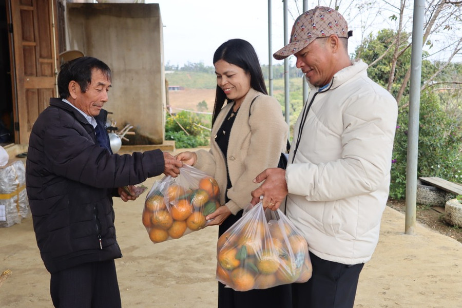 Khách tham quan, hái cam sạch mang về làm quà tết cho người thân. Ảnh: HỮU PHÚC