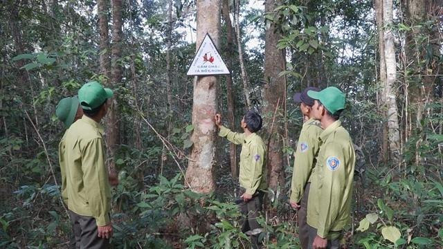 Ngày tết, lực lượng giữ rừng của Vườn Quốc gia Kon Ka Kinh vẫn phải túc trực