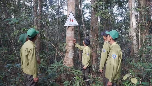 Ngày tết, lực lượng giữ rừng của Vườn Quốc gia Kon Ka Kinh vẫn phải túc trực