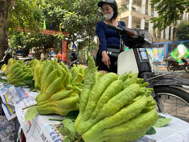 Phật thủ loại đẹp được rất nhiều người mua về thờ cúng dịp tết Phật thủ loại đẹp được rất nhiều người mua về thờ cúng dịp tết