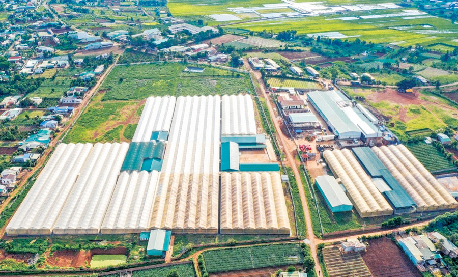 Tổ hợp sản xuất công nghệ cao của Nafoods Tây Nguyên nhìn từ trên cao. Ảnh: H.T