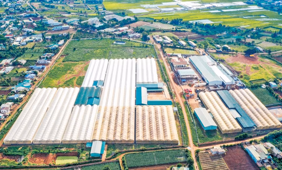 Tổ hợp sản xuất công nghệ cao của Nafoods Tây Nguyên nhìn từ trên cao. Ảnh: H.T