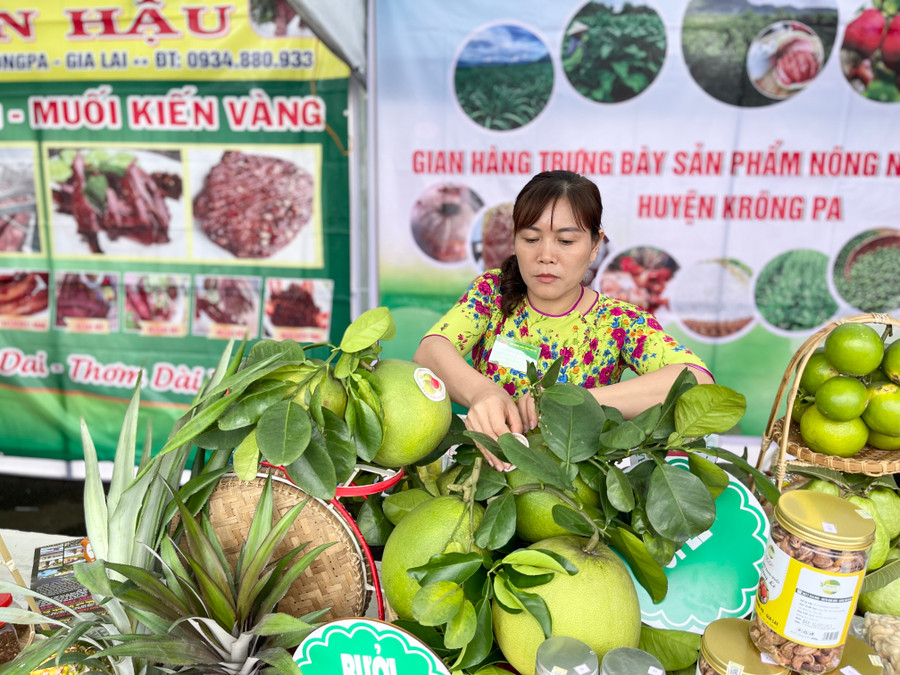 Sản phẩm bưởi da xanh của hộ hội viên Lưu Thị Thu Hường (ở buôn Mlah, xã Phú Cần, huyện Krông Pa) đạt giải nhất tại Hội thi. Ảnh: Vũ Thảo