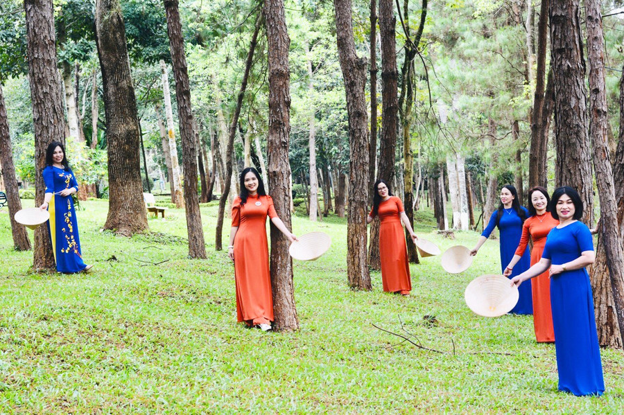 Hàng thông xanh rợp mát trong Công viên Diên Hồng. Ảnh: Nguyễn Thị Diễm