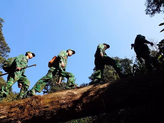 Đường hành quân lên mốc 79 nhiều đoạn phải vượt qua thân cây đổ ngang suối