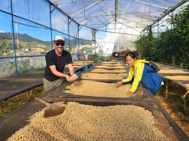 Vợ chồng Rolan đảo cà phê ở giàn phơi. Ảnh: Gia Bình