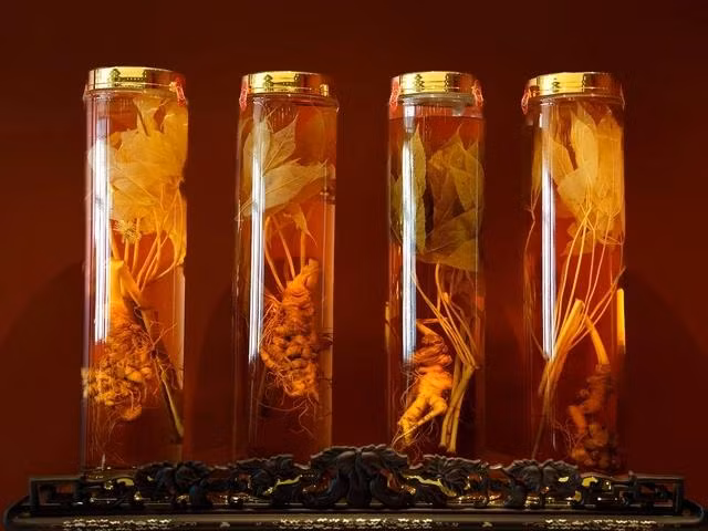 Bộ sưu tập sâm Lai Châu của ông Việt có nhiều củ dáng người như nhân sâm Hàn