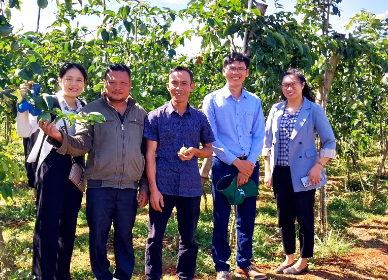 Cán bộ Trung tâm Dịch vụ nông nghiệp huyện Đak Đoa kiểm tra mô hình trồng chanh dây theo tiêu chuẩn VietGAP tại xã Hnol. Ảnh: N.D