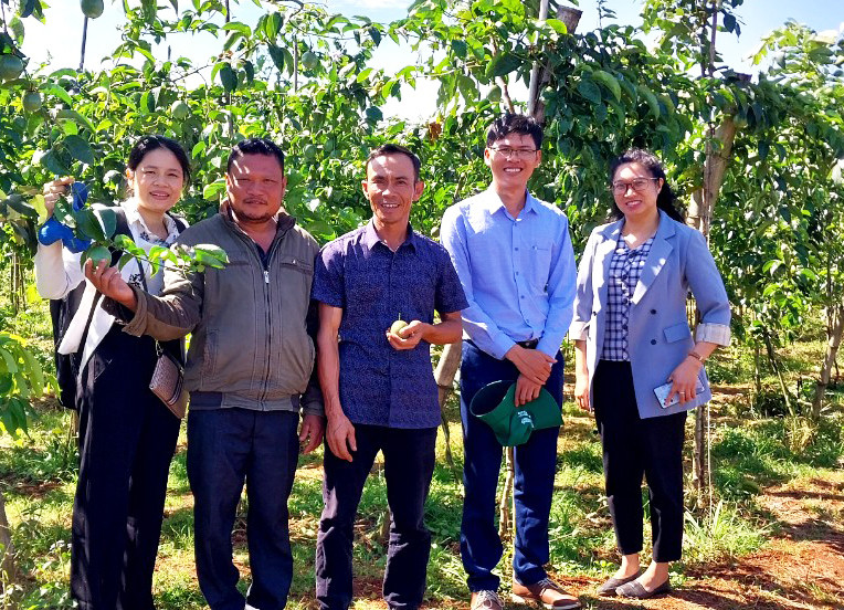 Cán bộ Trung tâm Dịch vụ nông nghiệp huyện Đak Đoa kiểm tra mô hình trồng chanh dây theo tiêu chuẩn VietGAP tại xã Hnol. Ảnh: N.D Cán bộ Trung tâm Dịch vụ nông nghiệp huyện Đak Đoa kiểm tra mô hình trồng chanh dây theo tiêu chuẩn VietGAP tại xã Hnol. Ảnh: N.D
