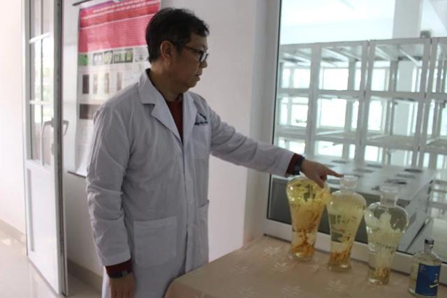 GS-TS Dương Tấn Nhựt có gần 30 năm nghiên cứu trong lĩnh vực chọn và tạo giống cây sâm Ngọc Linh GS-TS Dương Tấn Nhựt có gần 30 năm nghiên cứu trong lĩnh vực chọn và tạo giống cây sâm Ngọc Linh