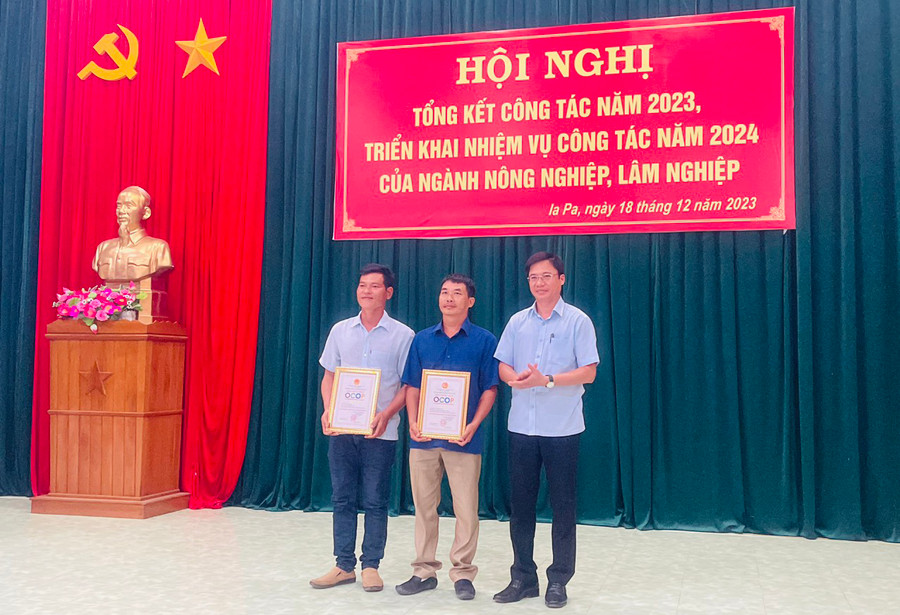 Sản phẩm Ổi lê Hải Hưng của anh Đặng Quang Hải (bìa trái) được cấp chứng nhận OCOP 3 sao cấp huyện năm 2023. Ảnh: Vũ Chi Sản phẩm Ổi lê Hải Hưng của anh Đặng Quang Hải (bìa trái) được cấp chứng nhận OCOP 3 sao cấp huyện năm 2023. Ảnh: Vũ Chi