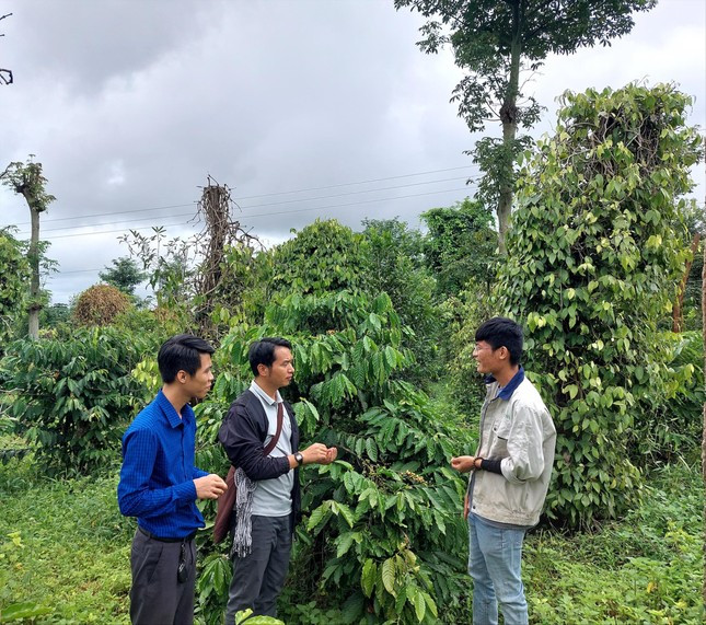 Anh Dũng (phải) giới thiệu các loại cây. Anh Dũng (phải) giới thiệu các loại cây.