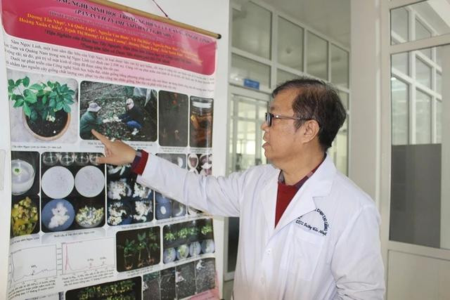 Nhiều công trình nghiên cứu về sâm Ngọc Linh của GS Nhựt có tính cấp thiết cao Nhiều công trình nghiên cứu về sâm Ngọc Linh của GS Nhựt có tính cấp thiết cao
