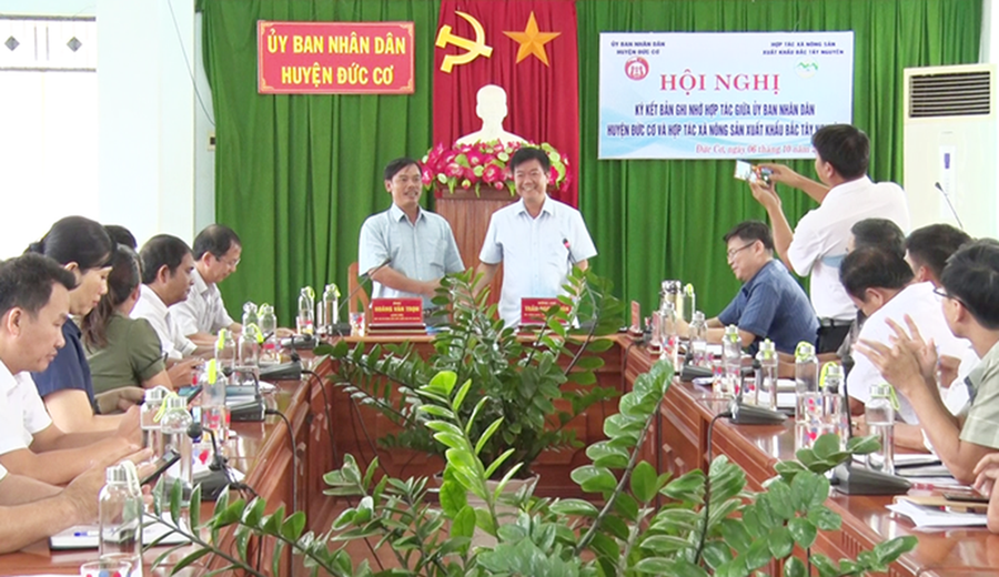 Lãnh đạo huyện Đức Cơ và Hợp tác xã Xuất khẩu Bắc Tây Nguyên ký bản ghi nhớ hợp tác, liên kết sản xuất, thu mua quả sầu riêng của người dân trên địa bàn. Ảnh: Ngọc Sang