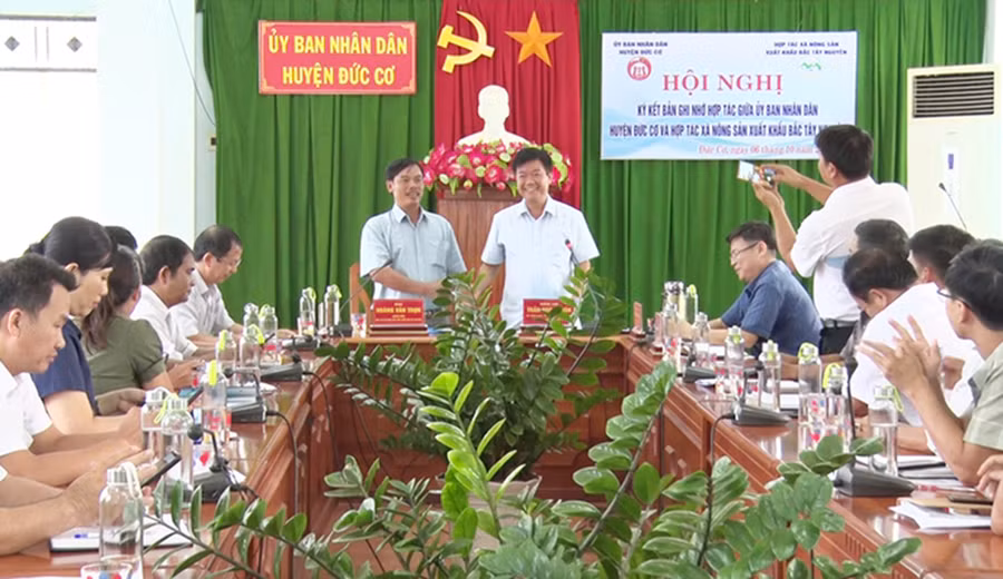 Lãnh đạo huyện Đức Cơ và Hợp tác xã Xuất khẩu Bắc Tây Nguyên ký bản ghi nhớ hợp tác, liên kết sản xuất, thu mua quả sầu riêng của người dân trên địa bàn. Ảnh: Ngọc Sang Lãnh đạo huyện Đức Cơ và Hợp tác xã Xuất khẩu Bắc Tây Nguyên ký bản ghi nhớ hợp tác, liên kết sản xuất, thu mua quả sầu riêng của người dân trên địa bàn. Ảnh: Ngọc Sang